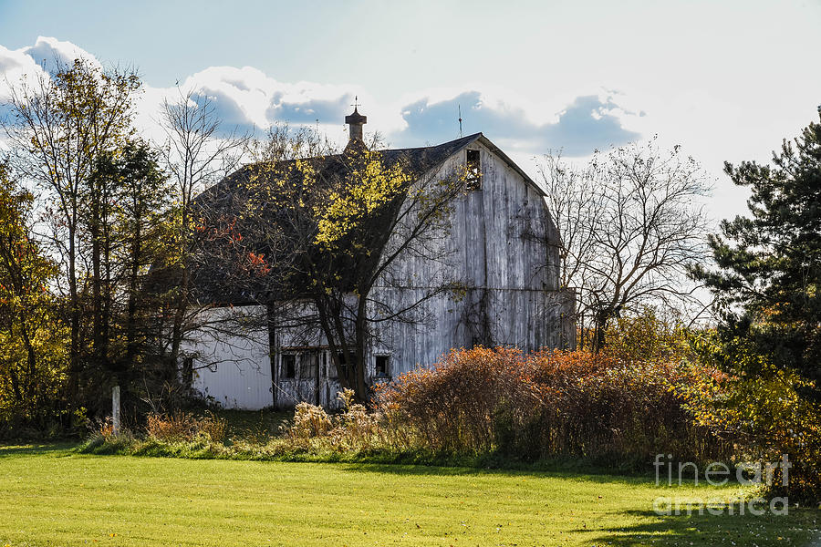 White Country Barn Photograph by Grace Grogan