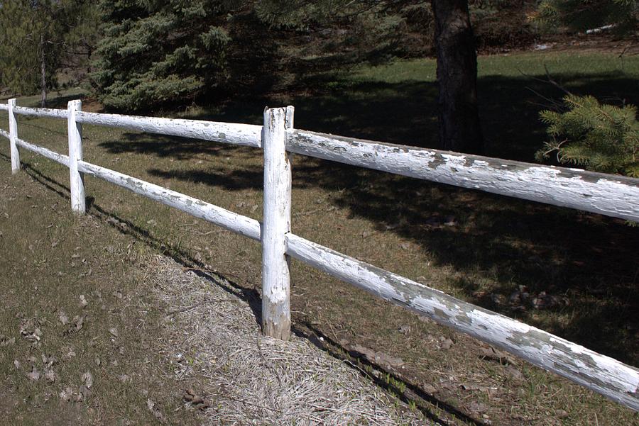 6005 - White Country Fence Photograph by Sheryl L Sutter