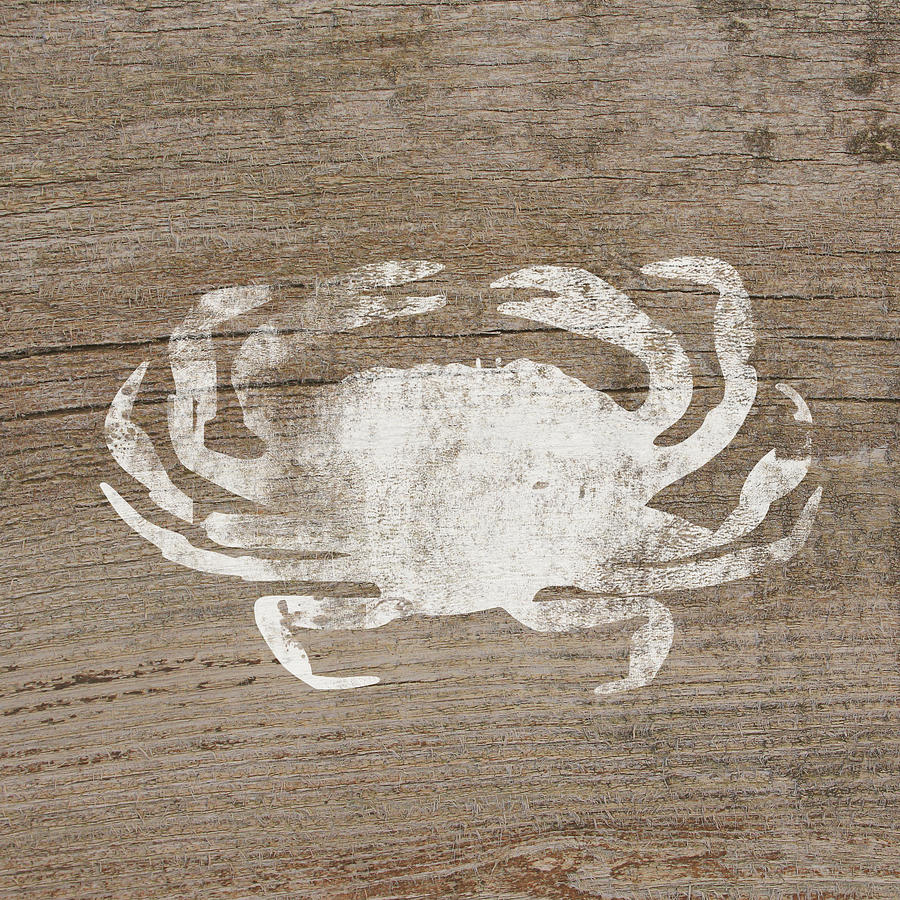 Beach Mixed Media - White Crab On Wood- Art by Linda Woods by Linda Woods