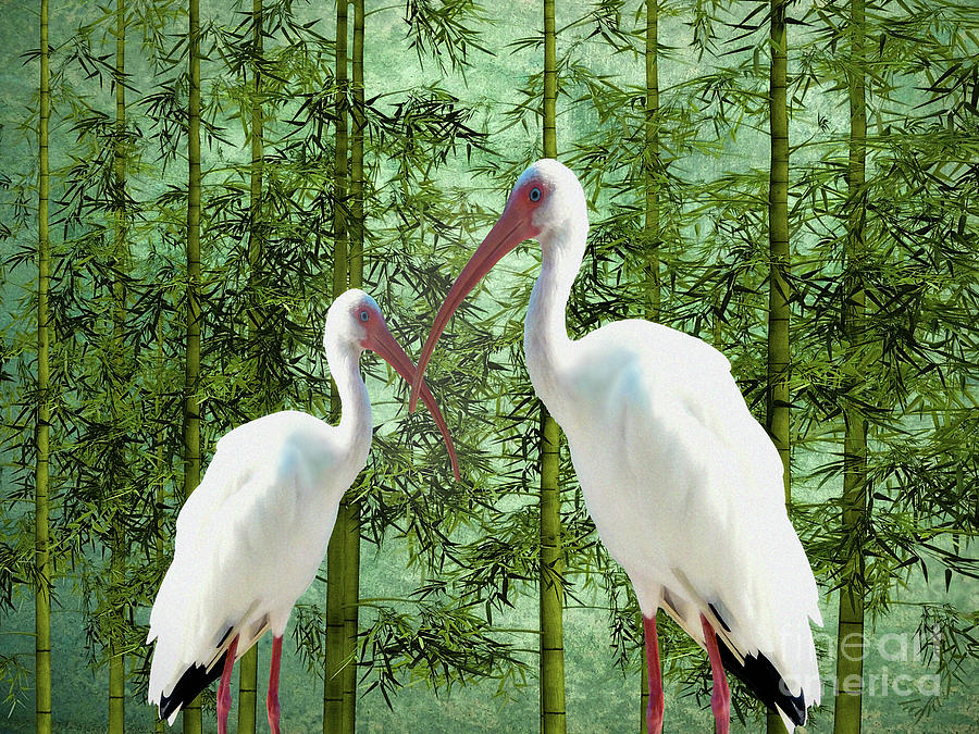 Bird Mixed Media - White Cranes and Bamboo by KaFra Art