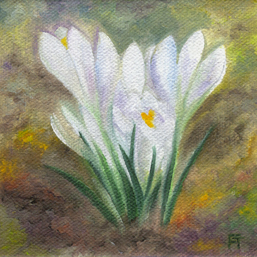 White Crocus Painting by FT McKinstry
