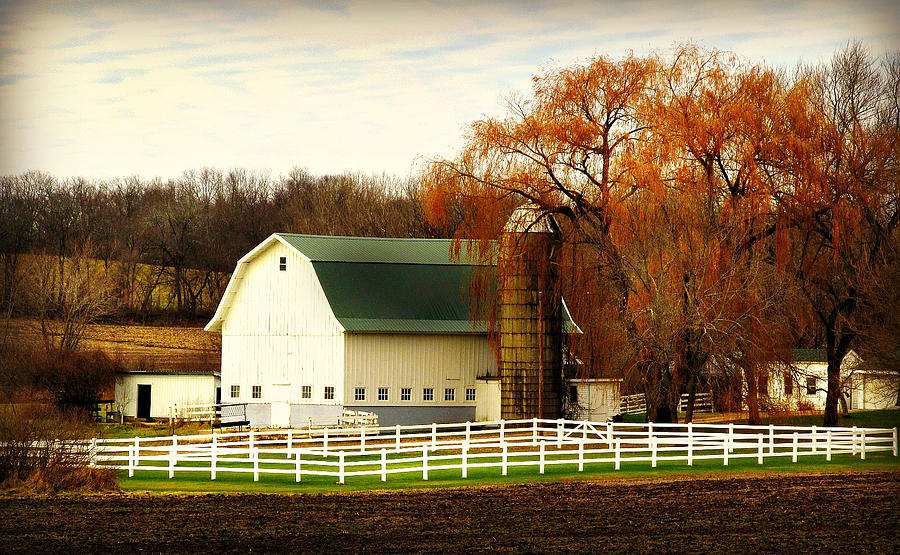 White Dairy Barn And Fence Photograph By Julie Dybevik