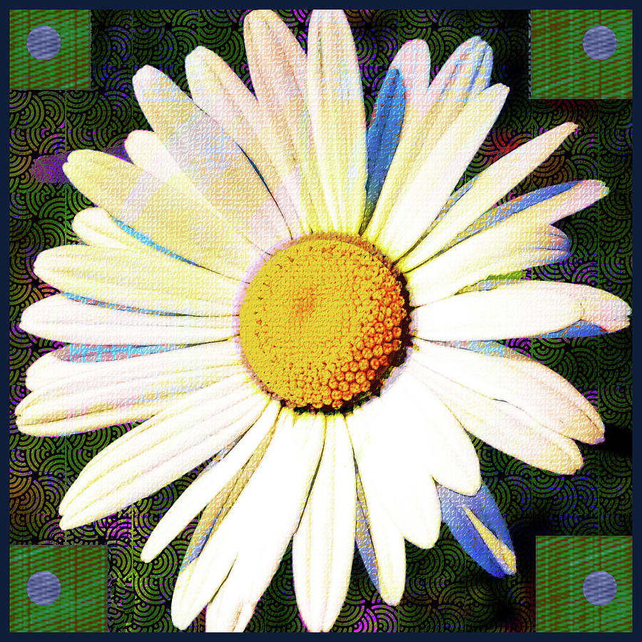 White Daisy Bud Digital Art by Rod Whyte