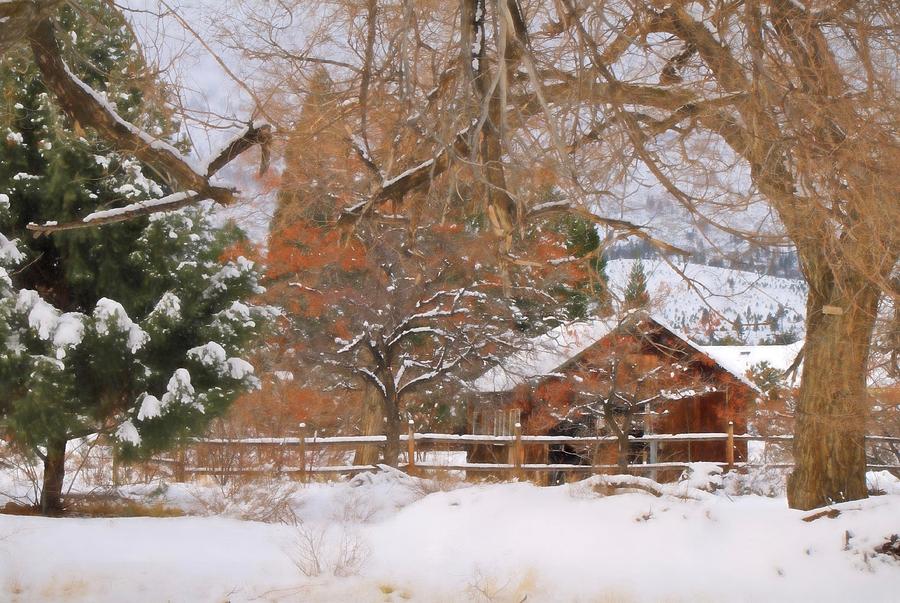 Barn Photograph - White December by Donna Kennedy