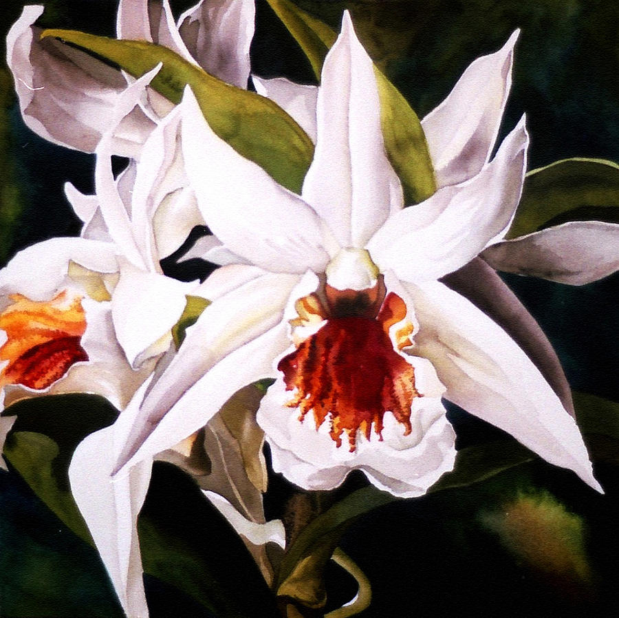 White Dendrobium Orchid Painting by Alfred Ng