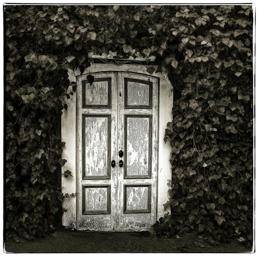 White Door Carmel Photograph by Jerry Golab
