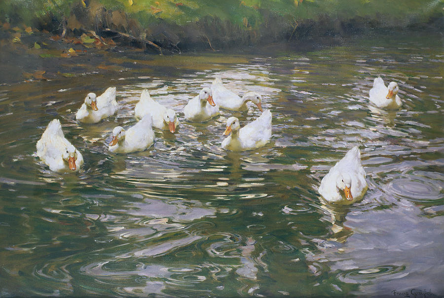 White Ducks On Water Painting By Franz Grassel - Fine Art America