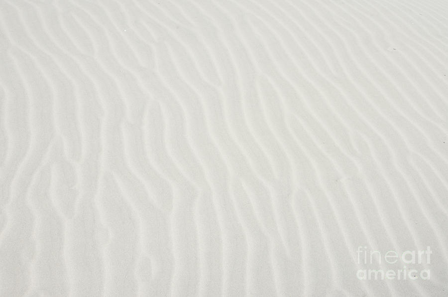 White Dune Photograph by Rick Bures