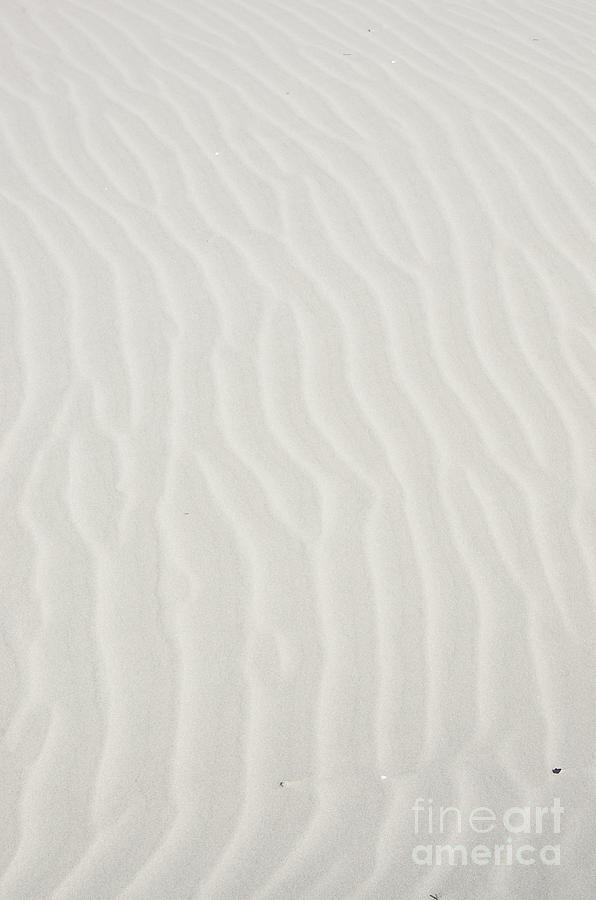 White Dune-v Photograph by Rick Bures