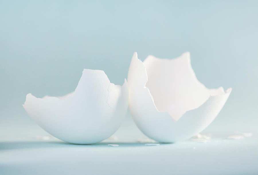 Egg Photograph - White Egg Shell On Soft Blue by Iris Richardson