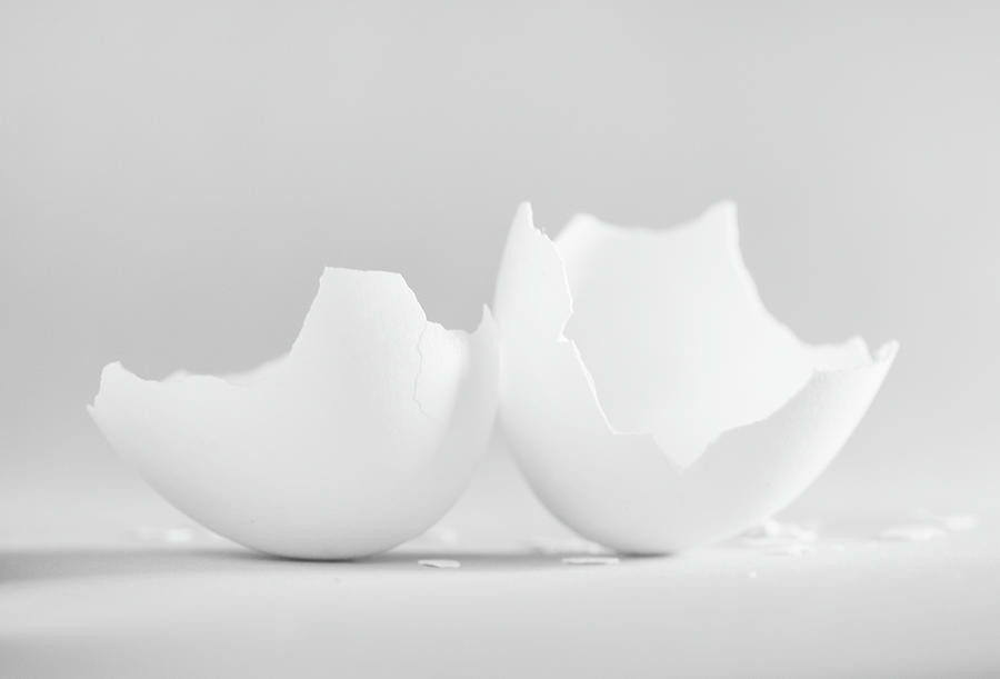 Egg Photograph - White Egg Shell On Soft Grey 2 by Iris Richardson