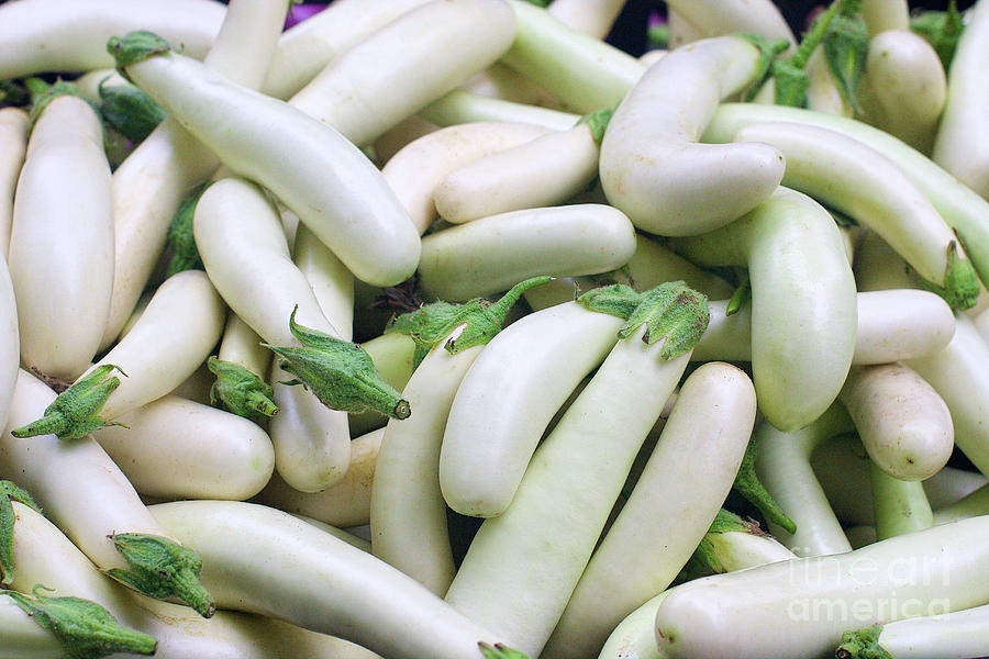 White Eggplant Photograph by Bruce Block