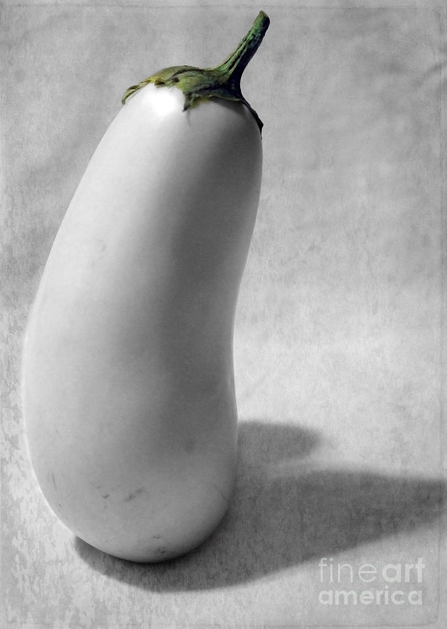 White Eggplant Portrait Photograph by Nina Silver