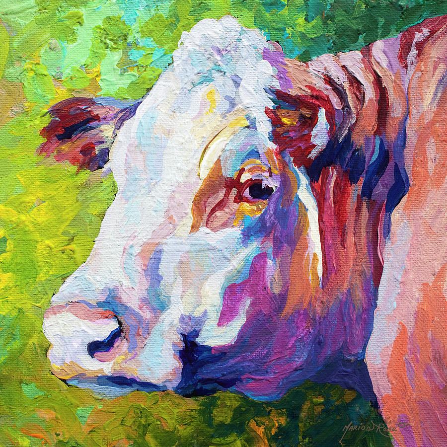 Cow Painting - White Face Cow by Marion Rose