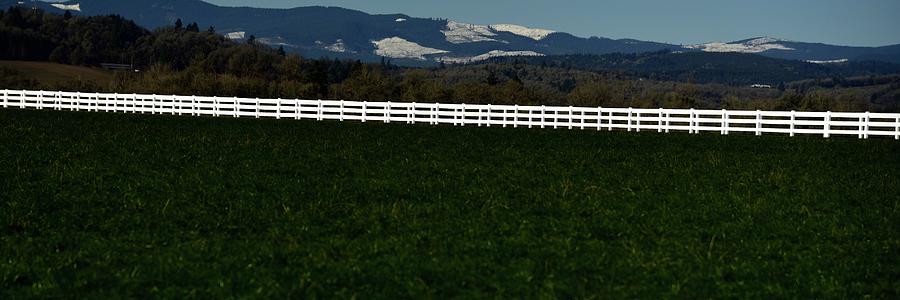 White Fence Photograph by Jerry Sodorff