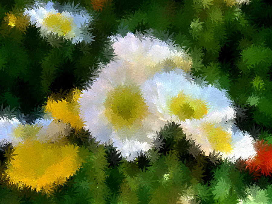 White Floriade Flowers 2 Digital Art by Yolanda Caporn