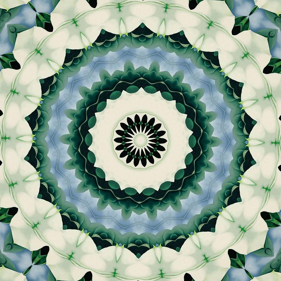 White Flower and Cerulean Blue Mandala Digital Art by Taiche Acrylic Art