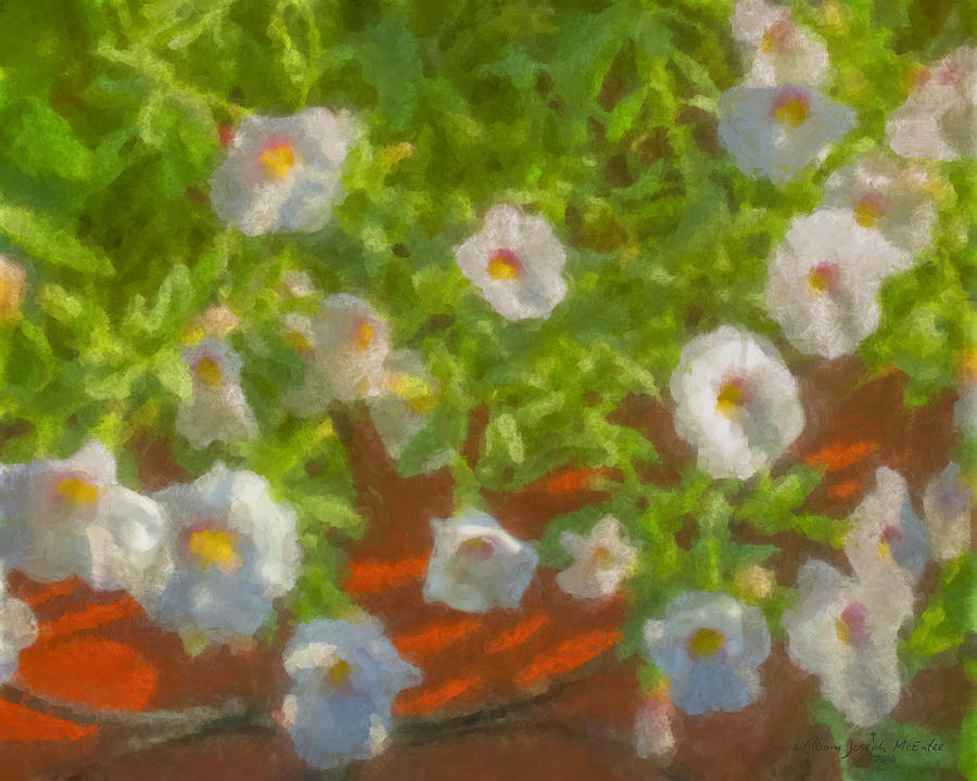 White Flowers Painting by Bill McEntee