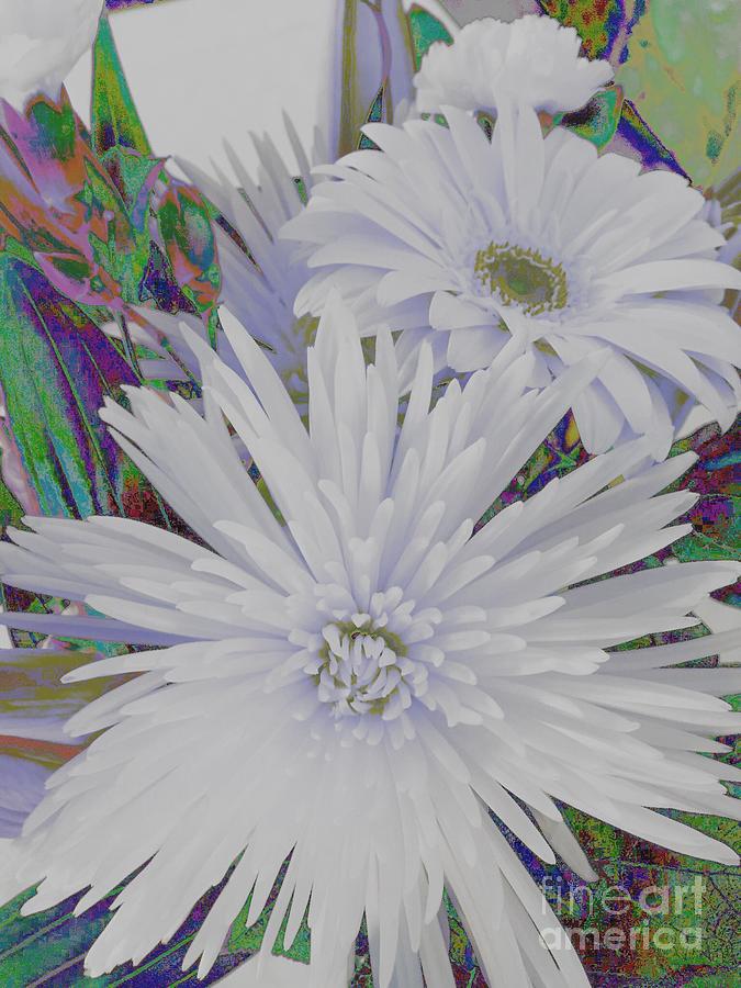 White Flowers Photograph by Jenny Revitz Soper