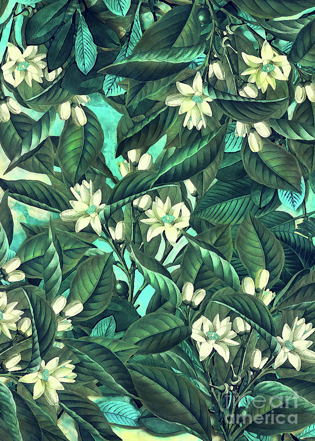 White Flowers Digital Art by Justyna Jaszke JBJart