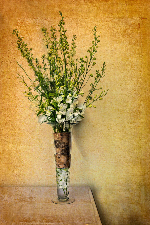 Slender Vase Photograph by Maria Coulson