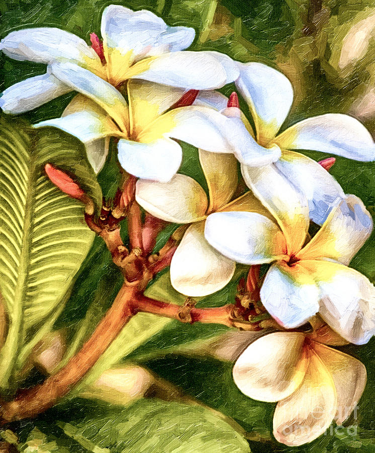 White Gold Plumeria Floral Painting A Work of Love and Care Painting by David Millenheft