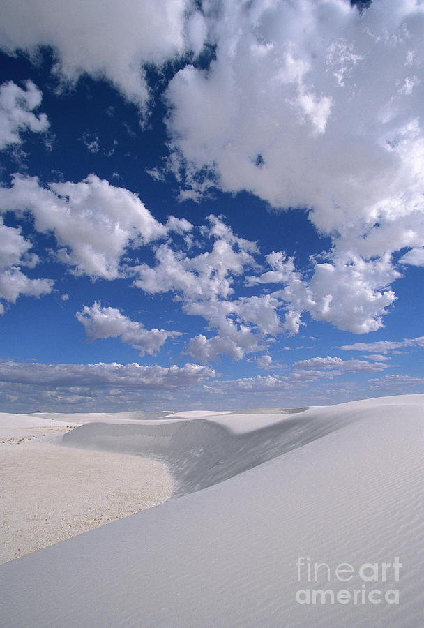Mp Photograph - White Gypsum Dunes by Yva Momatiuk John Eastcott