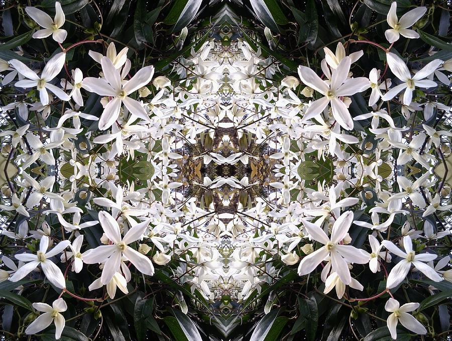 White Hedge Flower Mandala 1 Photograph by Julia Woodman