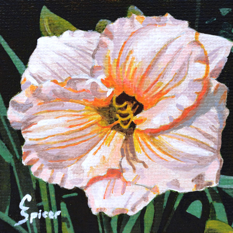 White Hibiscus Painting by Christopher Spicer