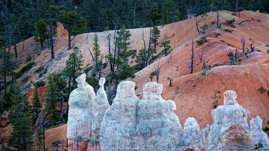 White Hoodoos at Bryce Canyon National Park Photograph by Phil Cardamone