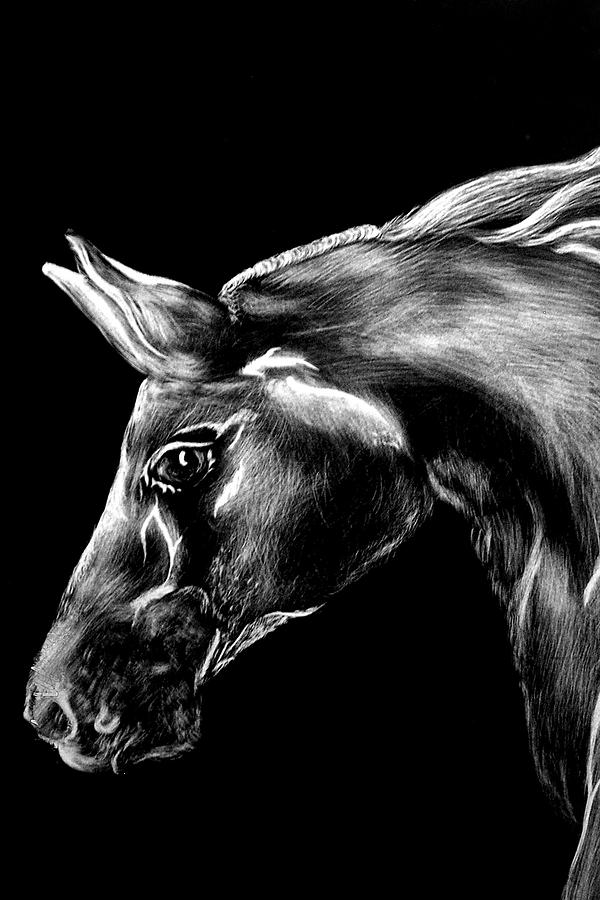 Black And White Painting - White Horse by Angelina Benson