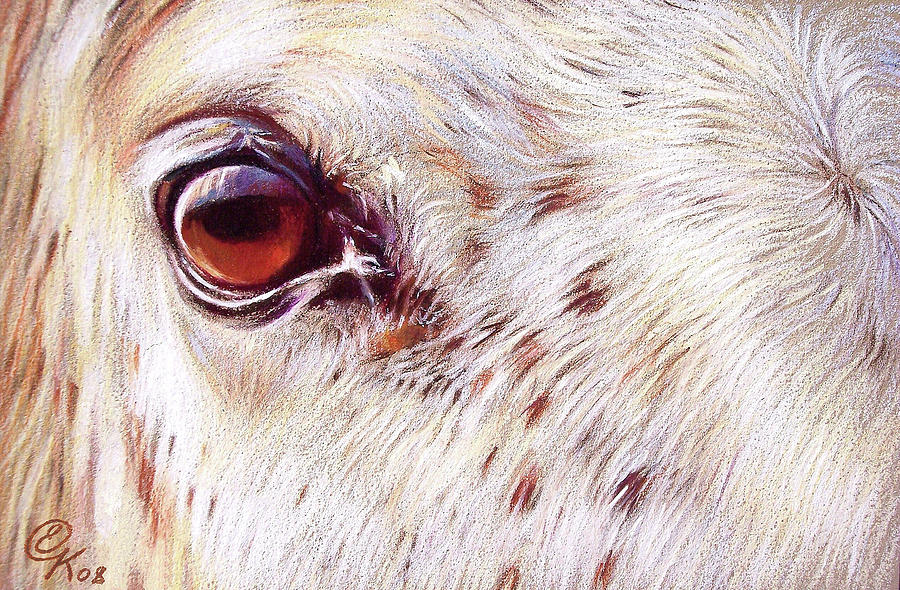White horse close-up Drawing by Elena Kolotusha
