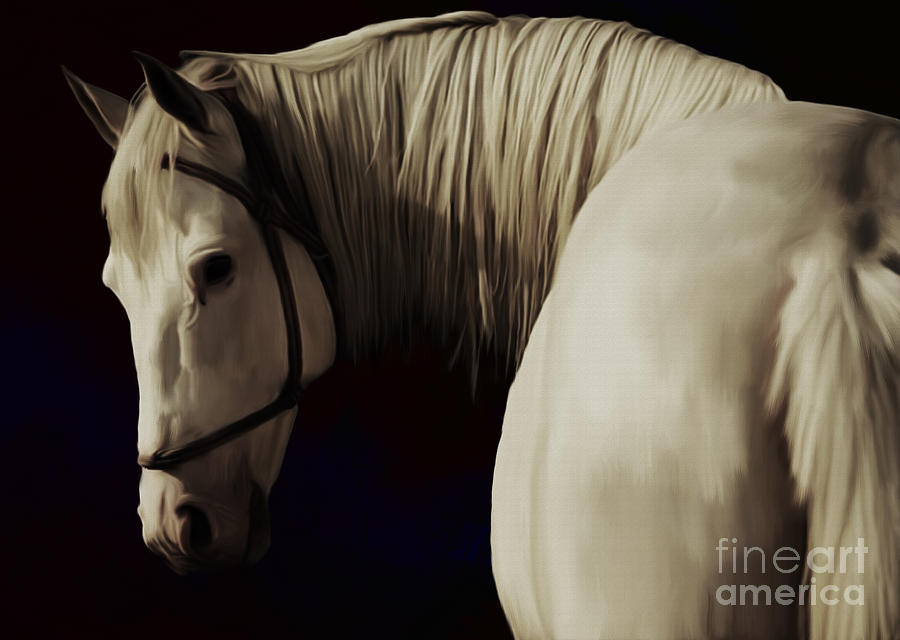 White Horse Painting by Gull G