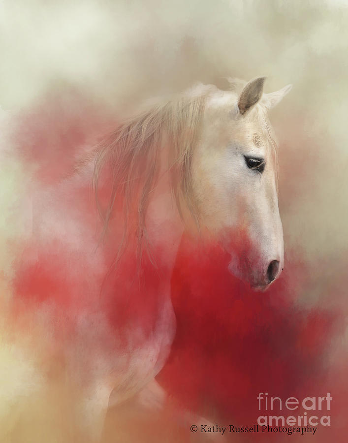 White Horse in Red Photograph by Kathy Russell