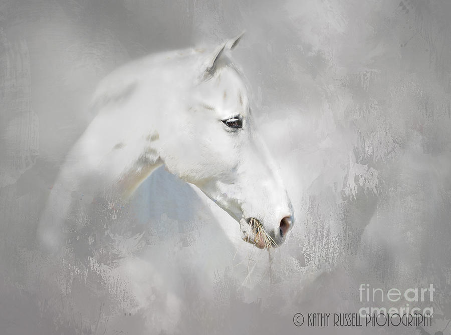 White Horse Photograph by Kathy Russell