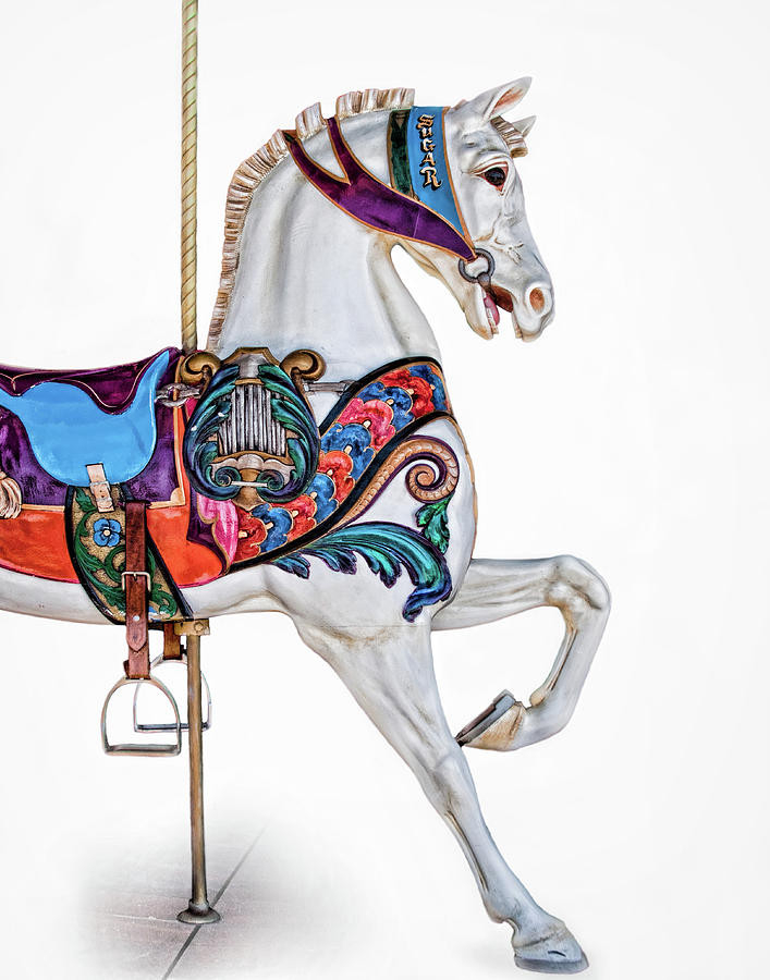 White Horse of the Carousel Photograph by David and Carol Kelly