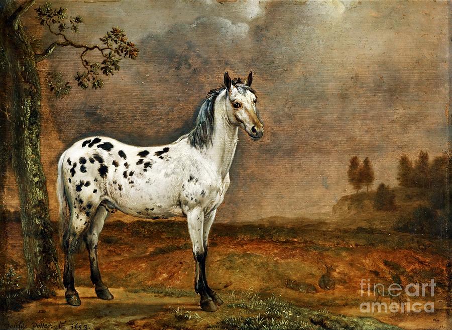 White Horse Painting by Celestial Images