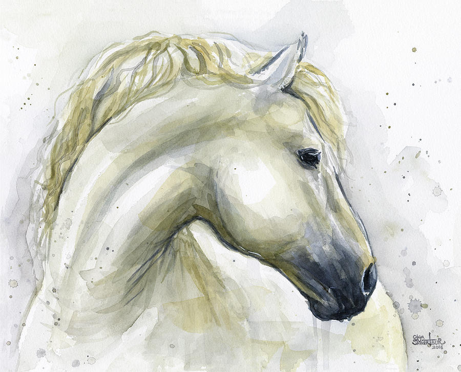 Farm Animals Painting - White Horse Watercolor by Olga Shvartsur