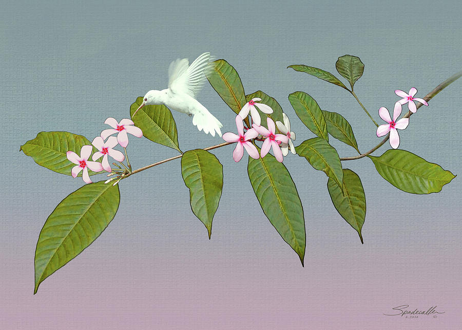 White Hummingbird and Kopsia Digital Art by M Spadecaller