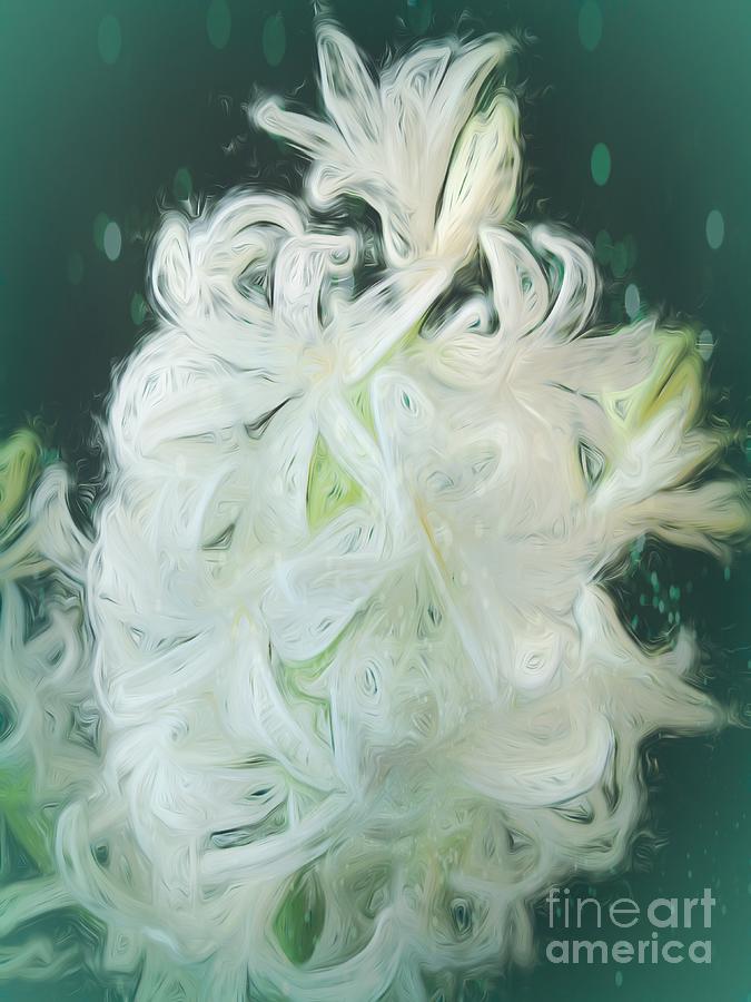 White Hyacinth Beauty Photograph by Luther Fine Art