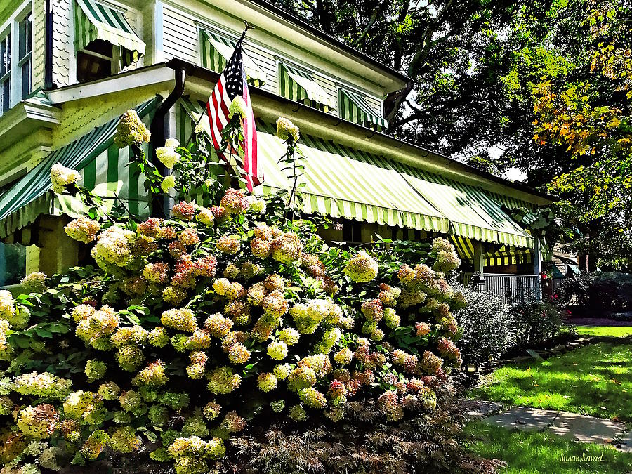 White Hydrangeas by Green Striped Awning Photograph by Susan Savad