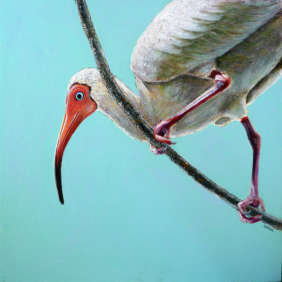 White Ibis Painting by Ande Hall