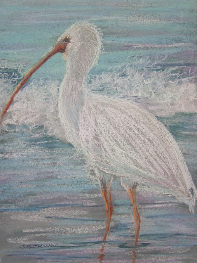 sketch ibis paint