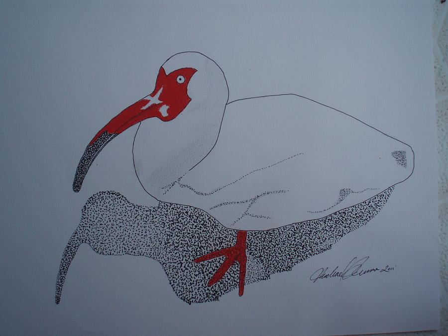 Bird Mixed Media - White Ibis by Michael Runner