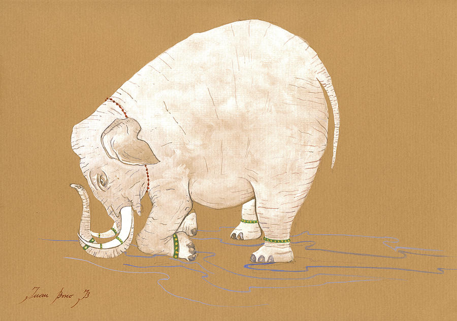 White Elephant Painting - White indian elephant by Juan Bosco