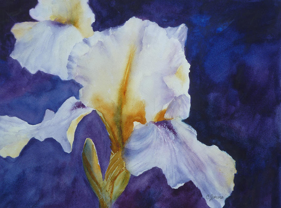 White Iris Painting by Carolyn Jarvis - Fine Art America