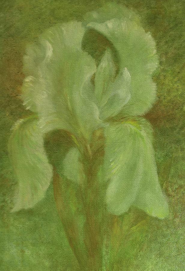 White Iris Painterly Texture Painting by Judith Cheng