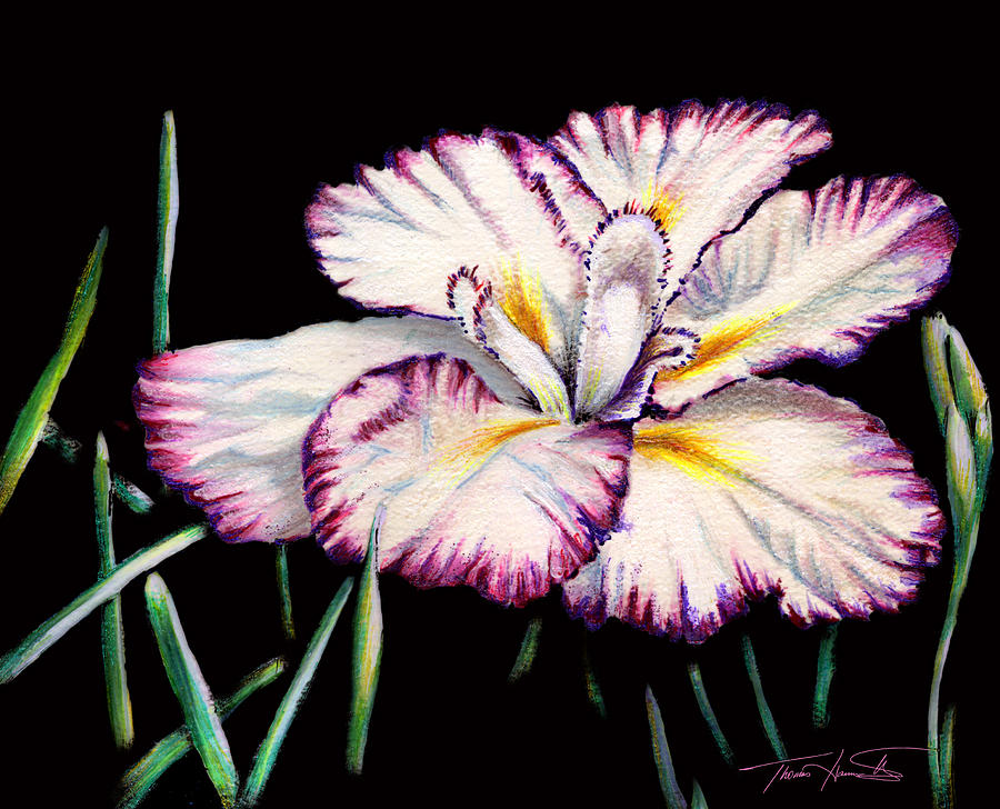 White Iris Painting by Thomas Hamm