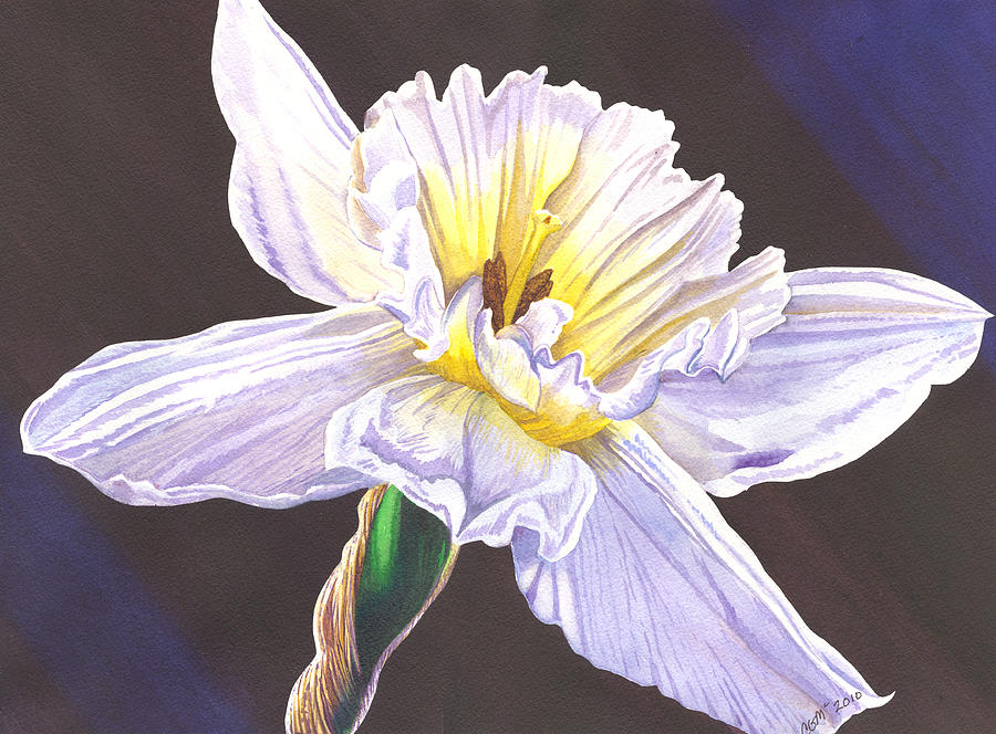 White Jonquil Painting by Catherine G McElroy