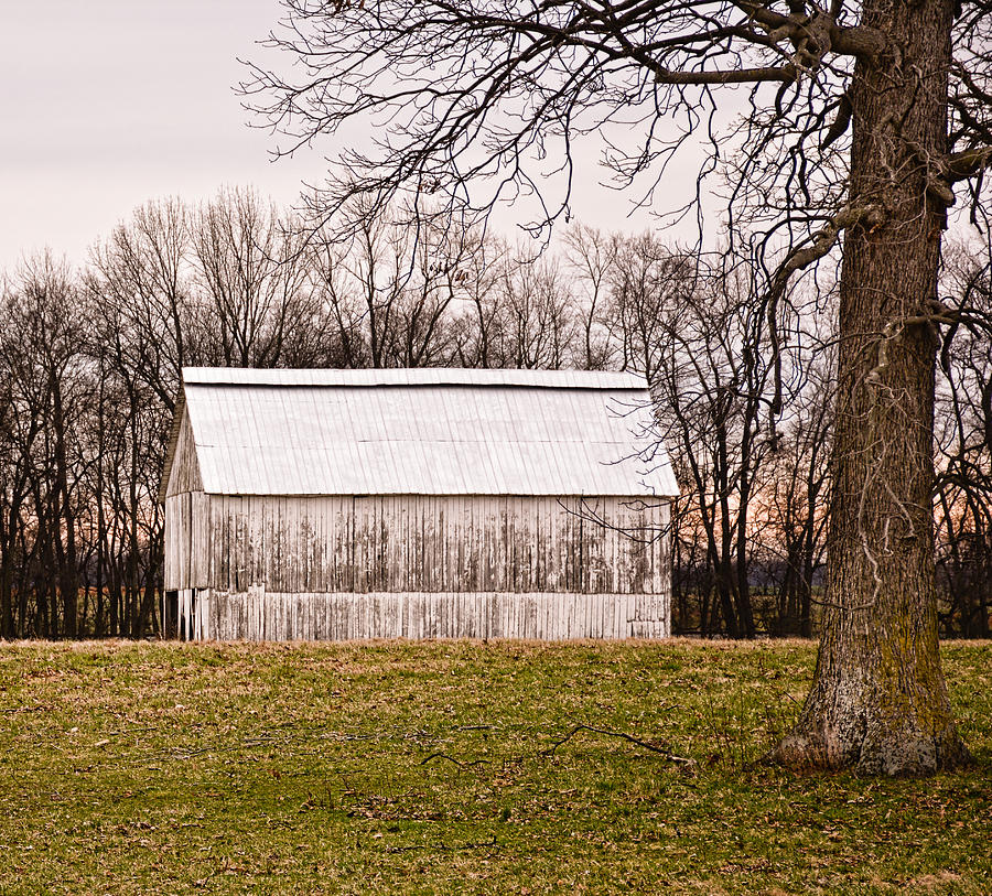 White Kentucky Tobacco Barn Photograph by Greg Jackson